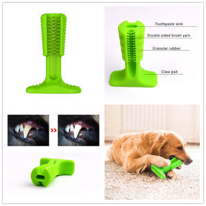 Dog Chew Toy Toothbrush - Chancery Lane