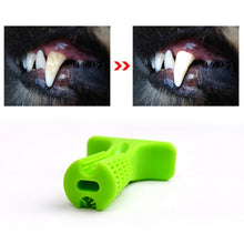 Load image into Gallery viewer, Dog Chew Toy Toothbrush - Chancery Lane
