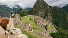 Load image into Gallery viewer, Machu Picchu Virtual live Tour
