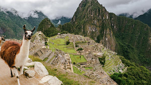 Machu Picchu Virtual live Tour