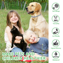 Load image into Gallery viewer, Anti-Flea Ticks Mosquitoes Adjustable Pet Collar - Worlds Abroad
