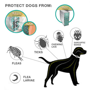Anti-Flea Ticks Mosquitoes Adjustable Pet Collar - Worlds Abroad