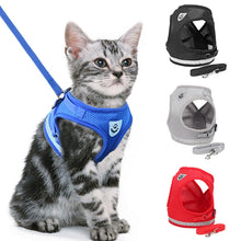 Load image into Gallery viewer, Cat or Dog Adjustable Walking Harness - Worlds Abroad
