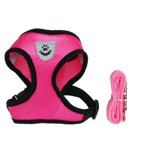 Cat or Dog Adjustable Walking Harness - Worlds Abroad