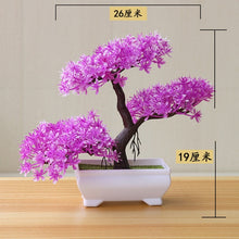 Load image into Gallery viewer, Bonsai Trees - Chancery Lane
